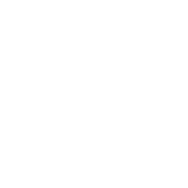 codice etico
