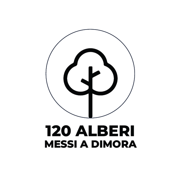 Alberi messi a dimora