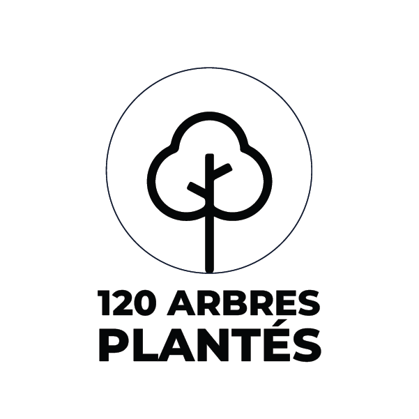 Alberi messi a dimora