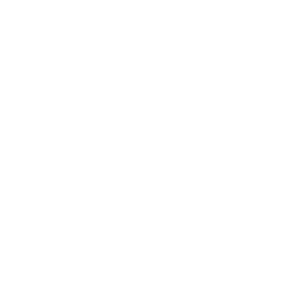 codice etico