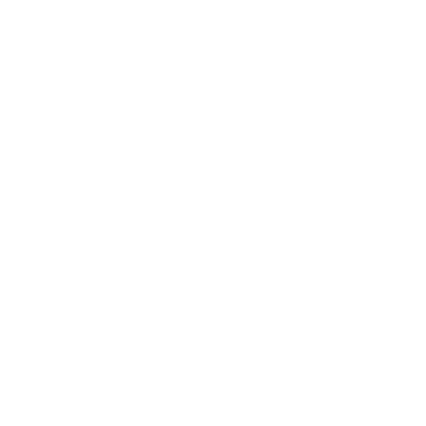 codice etico